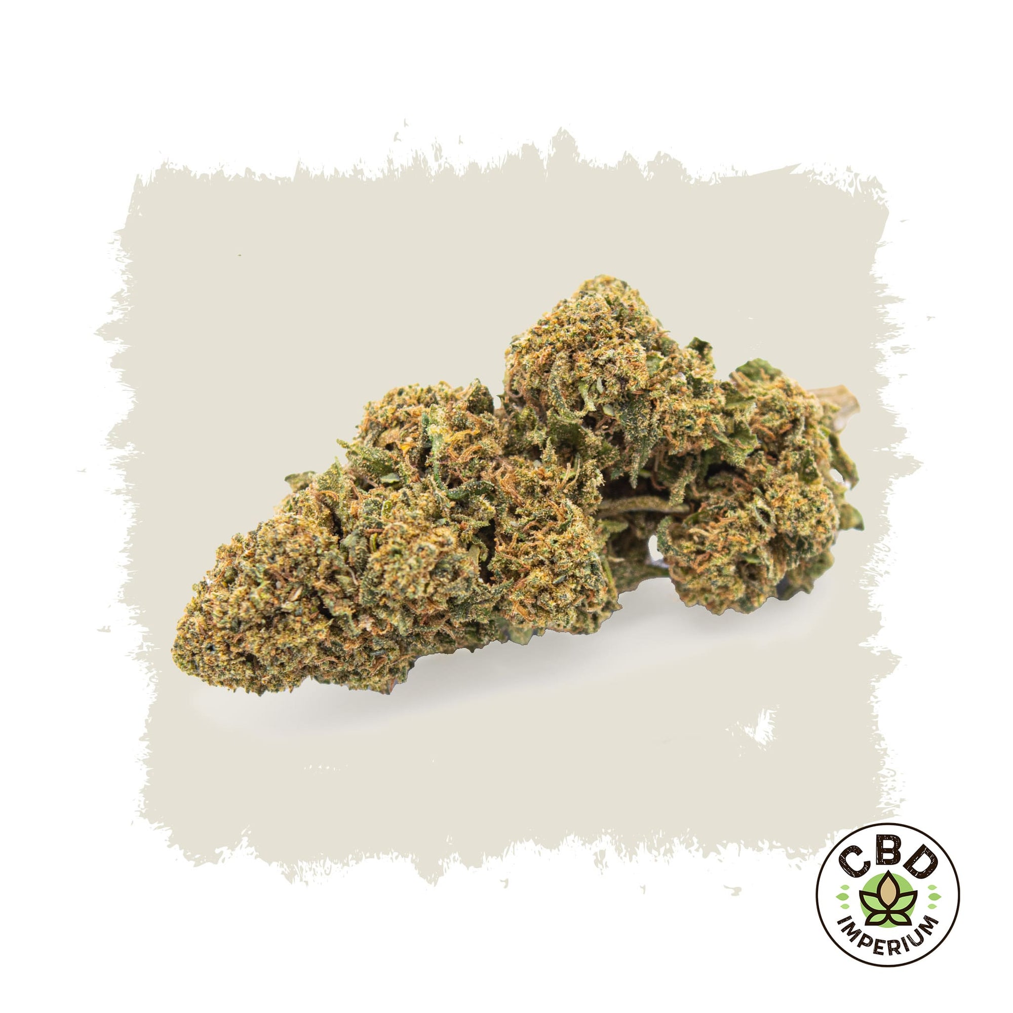 CBD Amnesia Haze Imperium Hanf Cannabis Sativa Bio Blüten