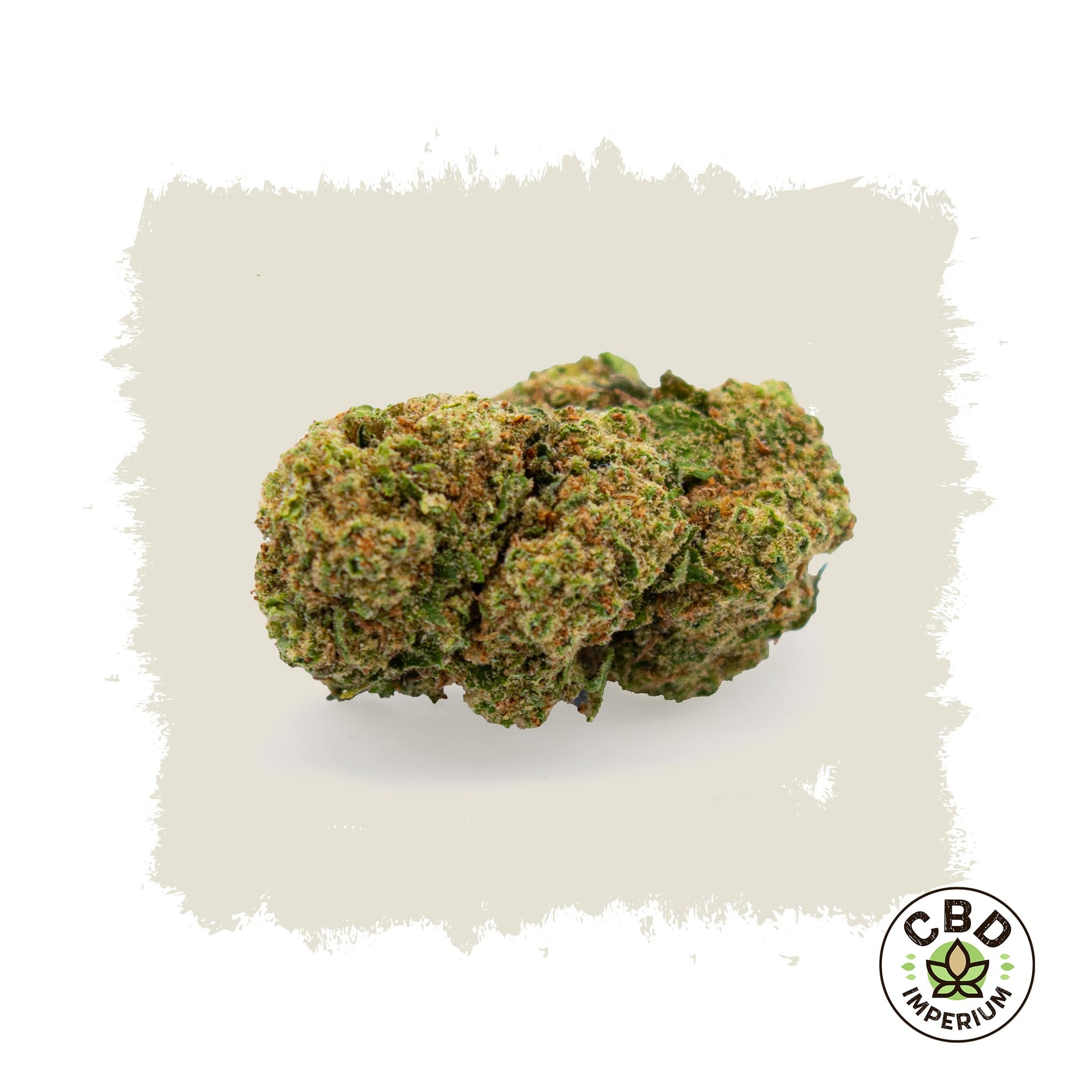 CBD London Cake Imperium Hanf Cannabis Sativa Bio Blüten