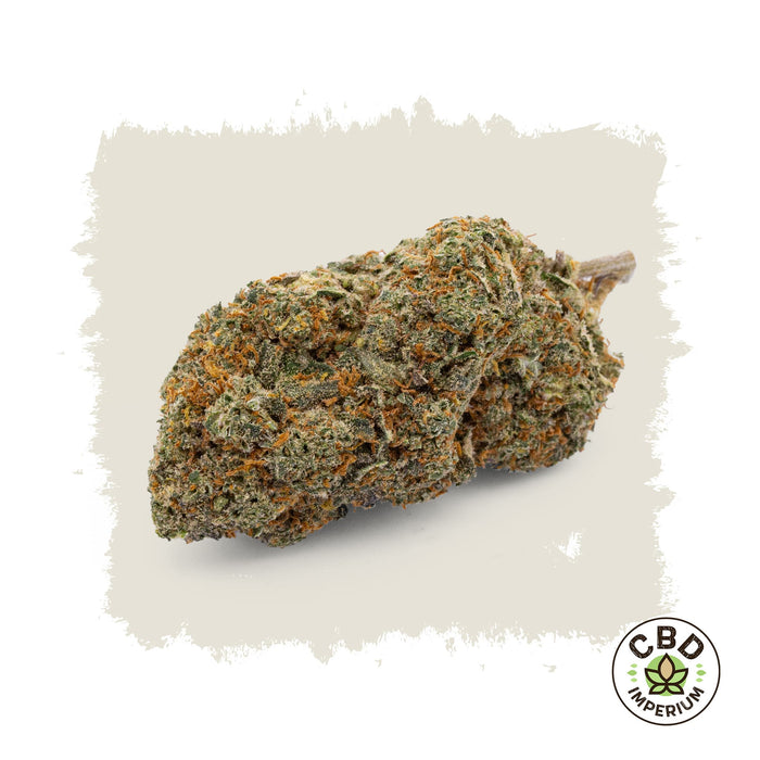 CBD Blue Dream Blüten Imperium