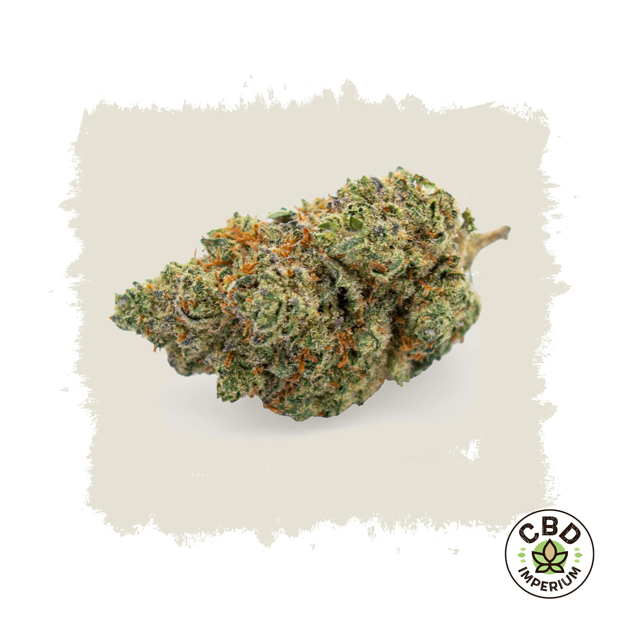 Gary Payton Premium CBD Blüte