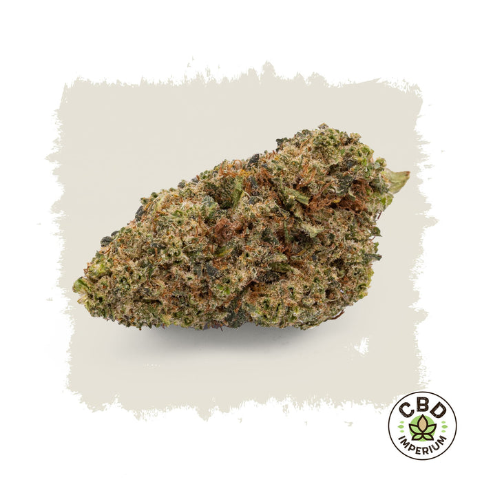 CBD Orangello Blüten Imperium