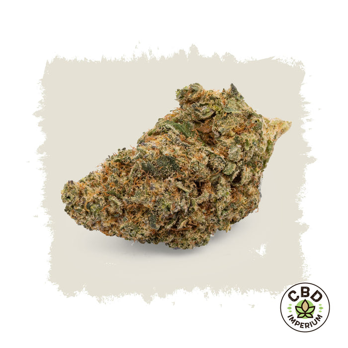 CBD Solar Punch Blüten Imperium