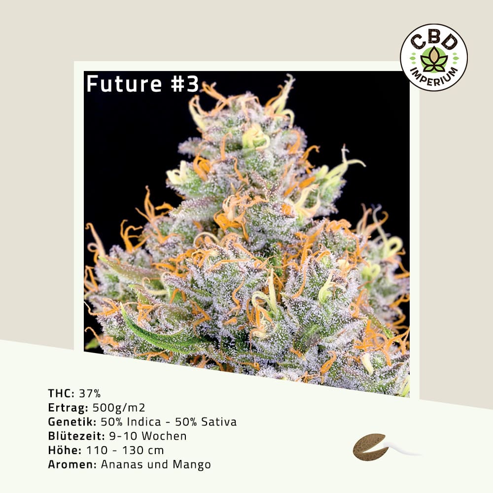 THC Future 3 Cannabis Samen CBD Imperium