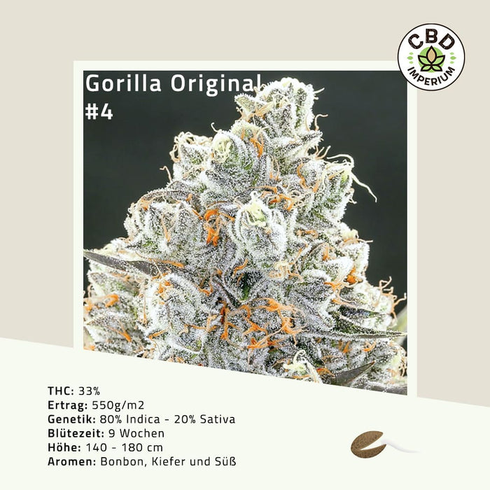 THC Gorilla Original Cannabis Samen CBD Imperium